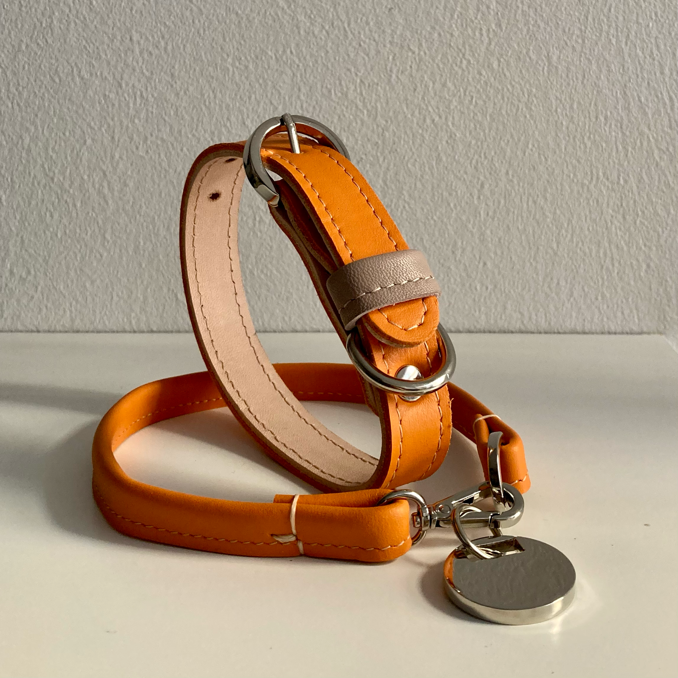 Basic Collar for dogs with shorter neck