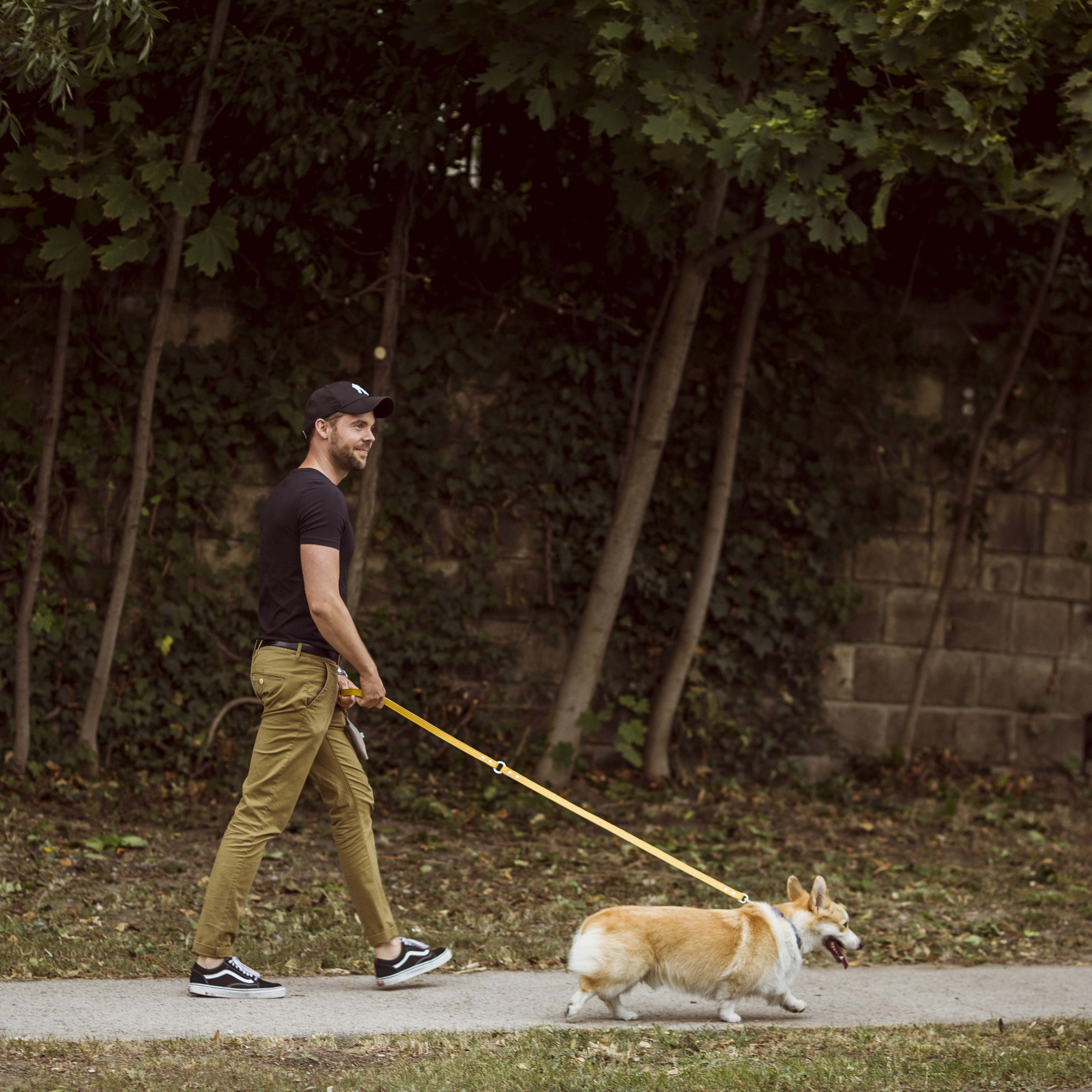 Long Póráz -alacsonyabb kutyáknak, vagy sétára a szabadban